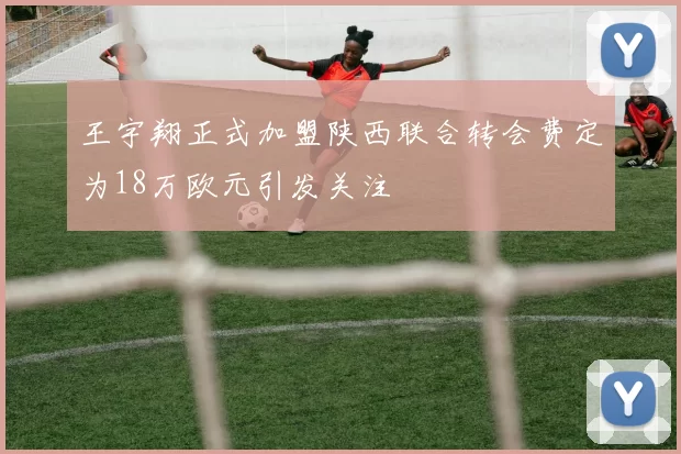 王宇翔正式加盟陕西联合转会费定为18万欧元引发关注